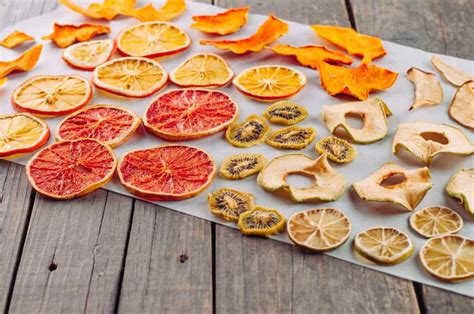 fruit dehydrator recipes.